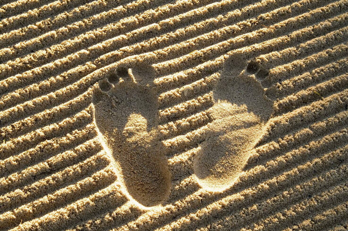 footprints in the sand photo