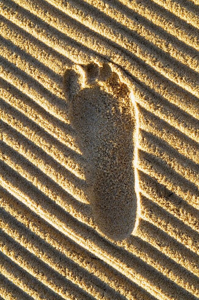 footprints in the sand photo