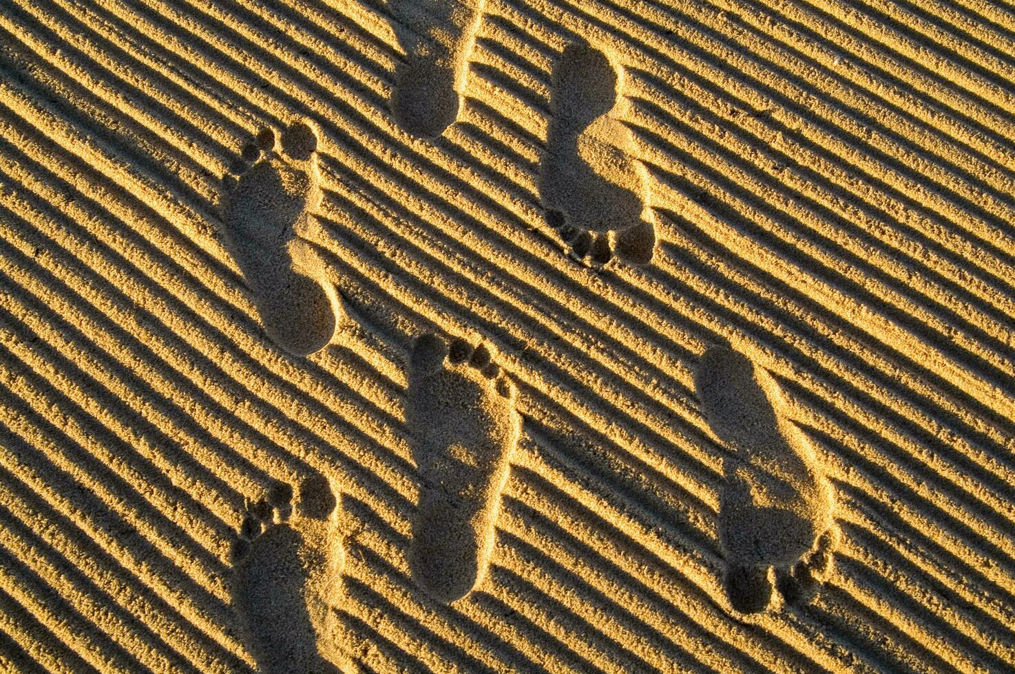 footprints in the sand photo