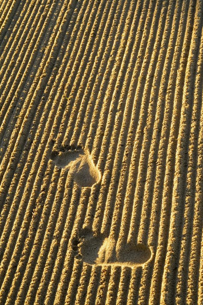 footprints in the sand photo