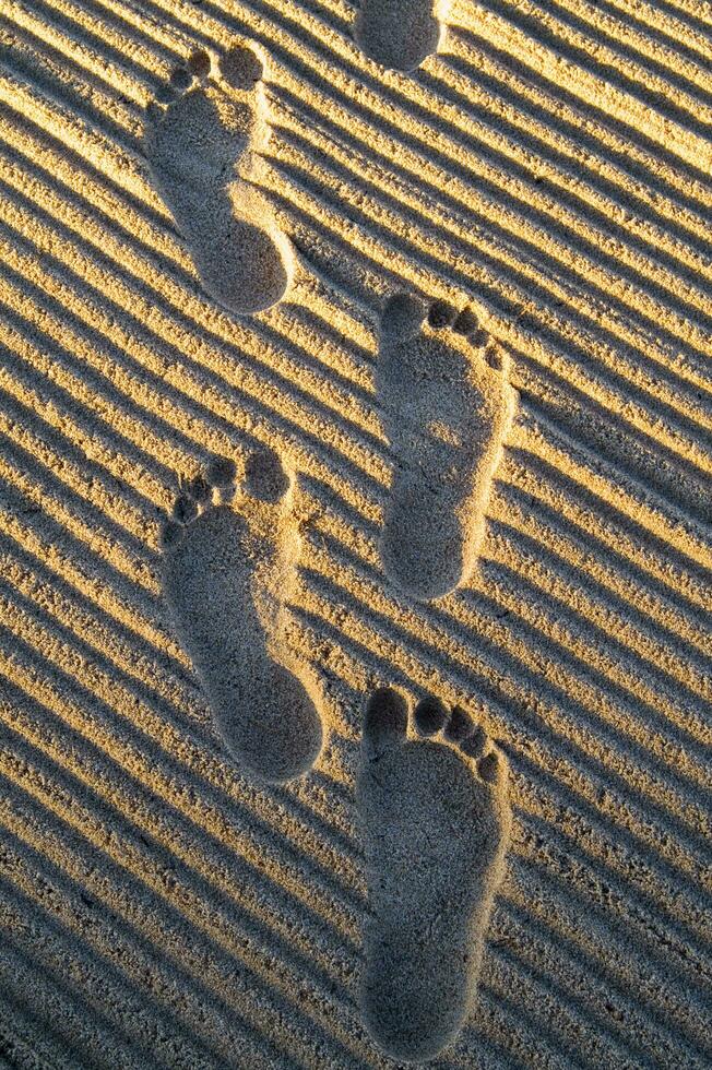 footprints in the sand photo