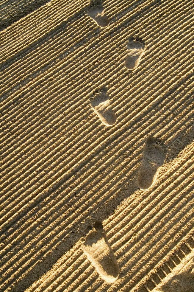 footprints in the sand photo