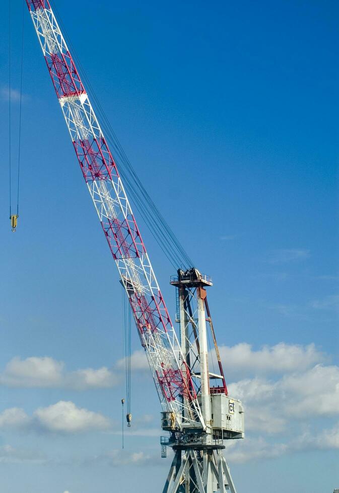 three cranes are standing in front of a blue sky photo