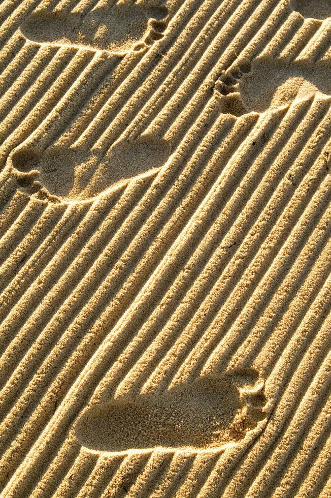 footprints in the sand photo