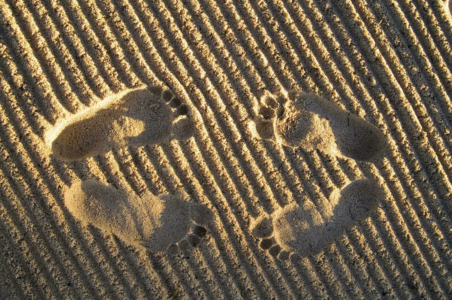 footprints in the sand photo