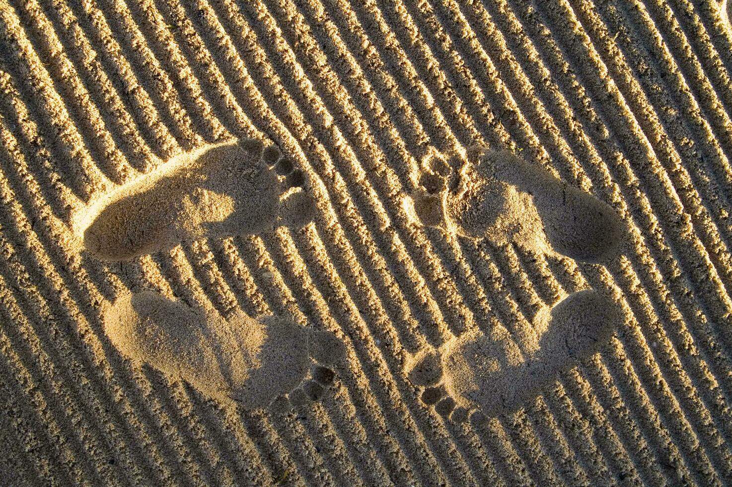 footprints in the sand photo