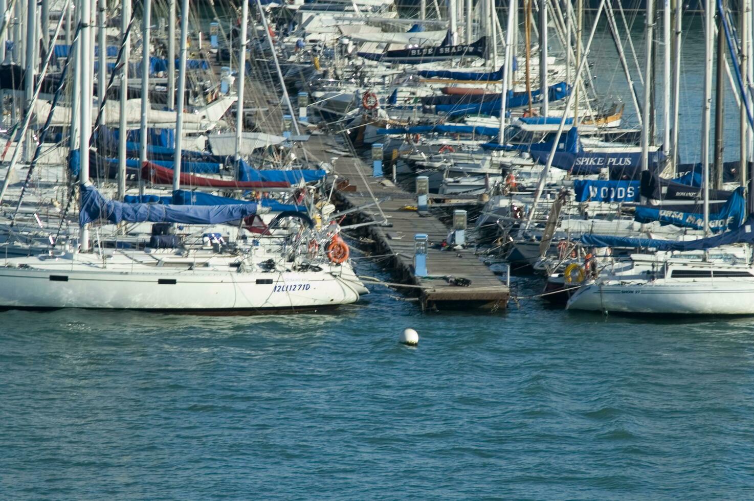 a group of boats in the water photo