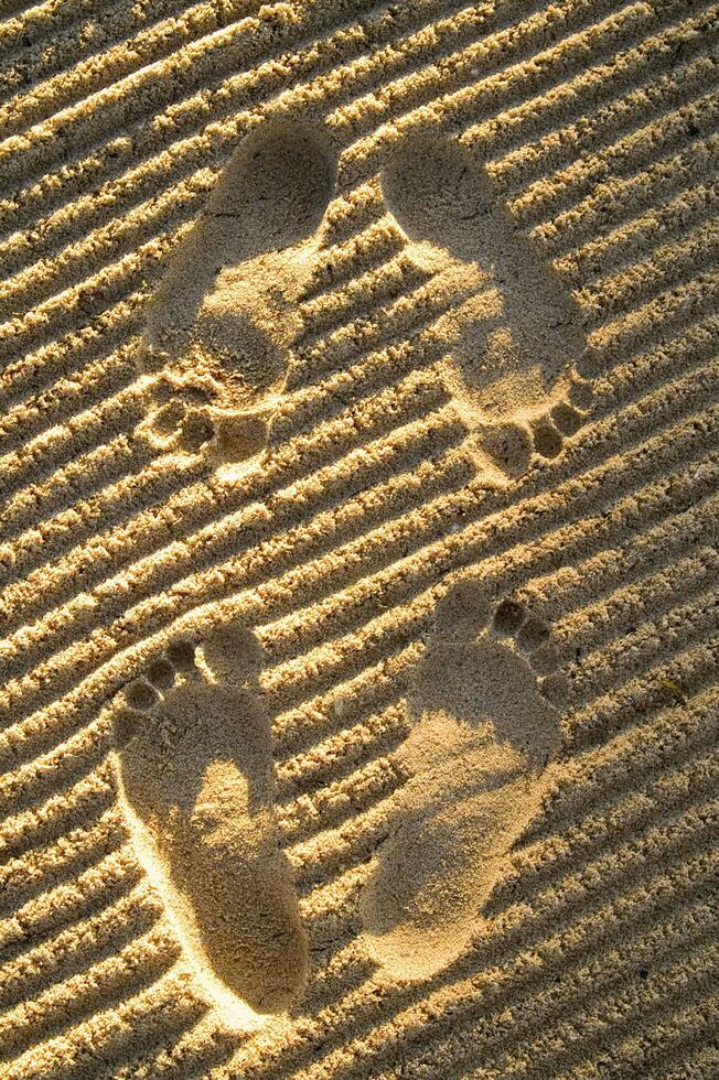 footprints in the sand photo