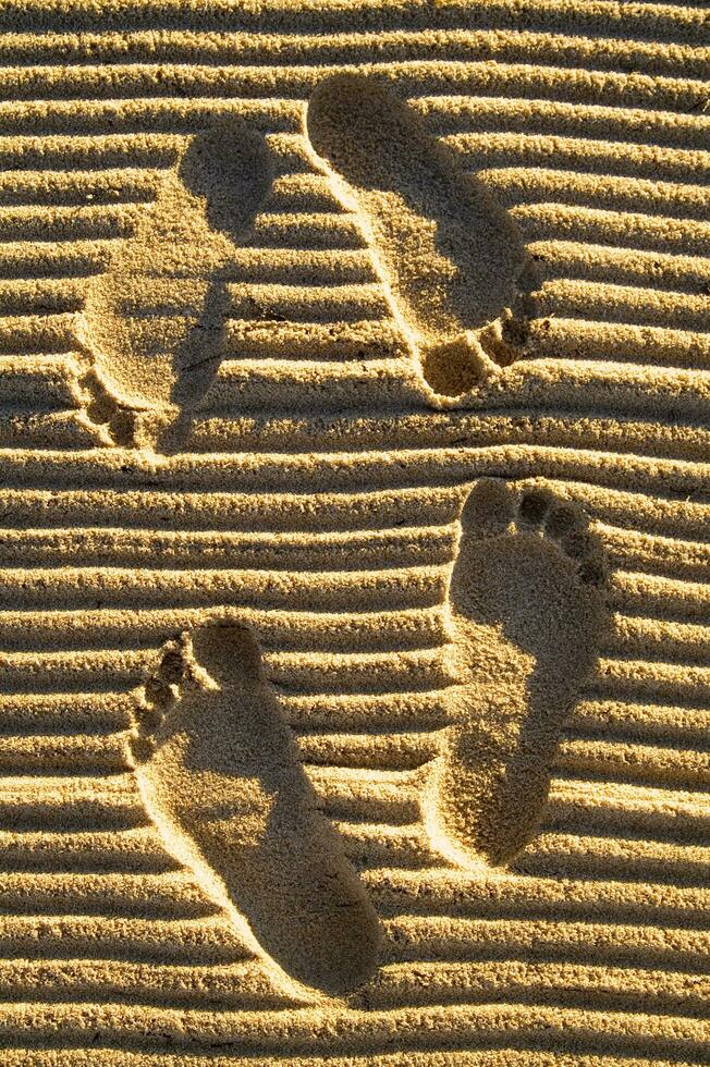 footprints in the sand photo