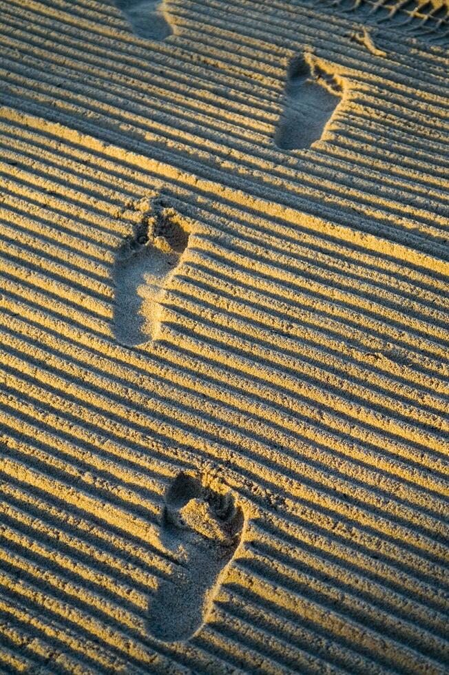 footprints in the sand photo