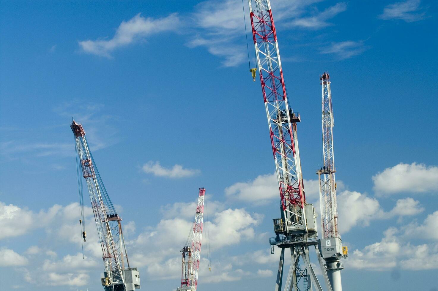 three cranes are standing in front of a blue sky photo