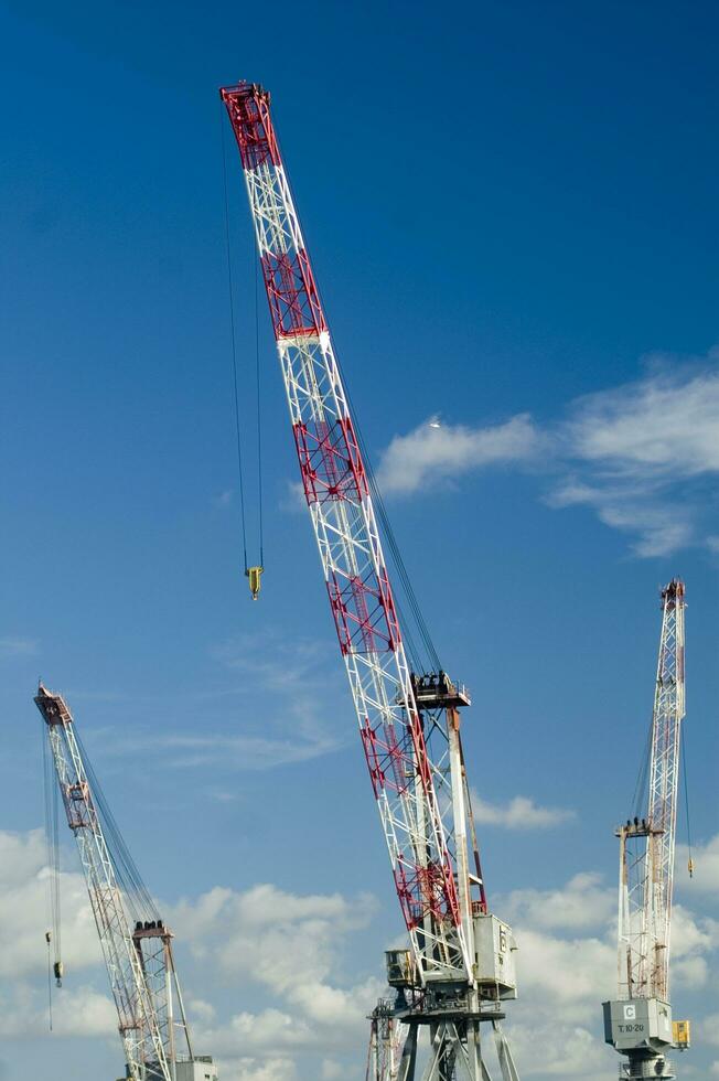 Tres grúas son en pie en frente de un azul cielo foto