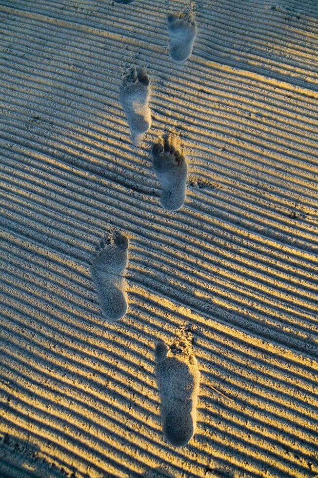 footprints in the sand photo