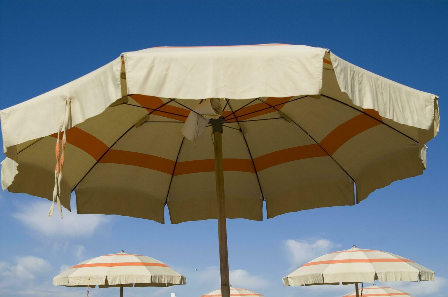 two lounge chairs under an umbrella photo