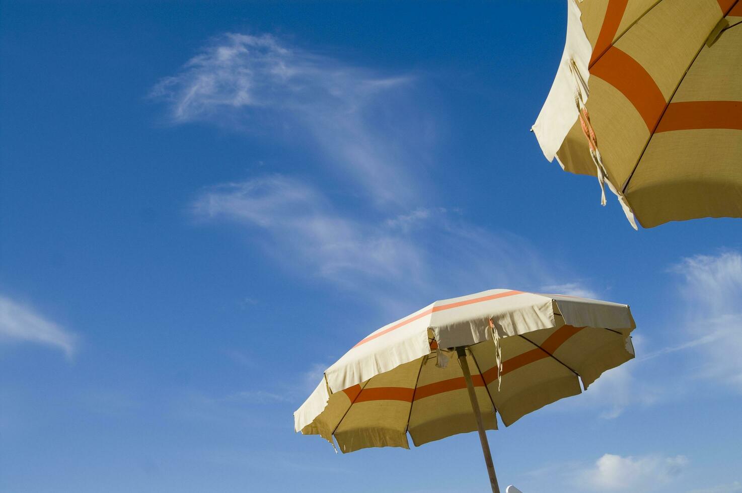 two lounge chairs under an umbrella photo