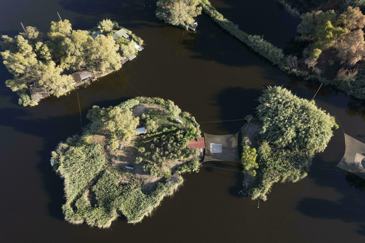 aéreo ver de el detalles de lago masaciuccoli foto