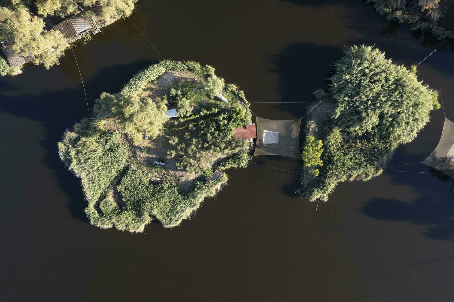 aéreo ver de el detalles de lago masaciuccoli foto