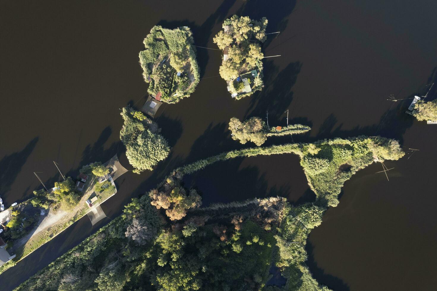 Aerial view of the details of Lake Massaciuccoli photo