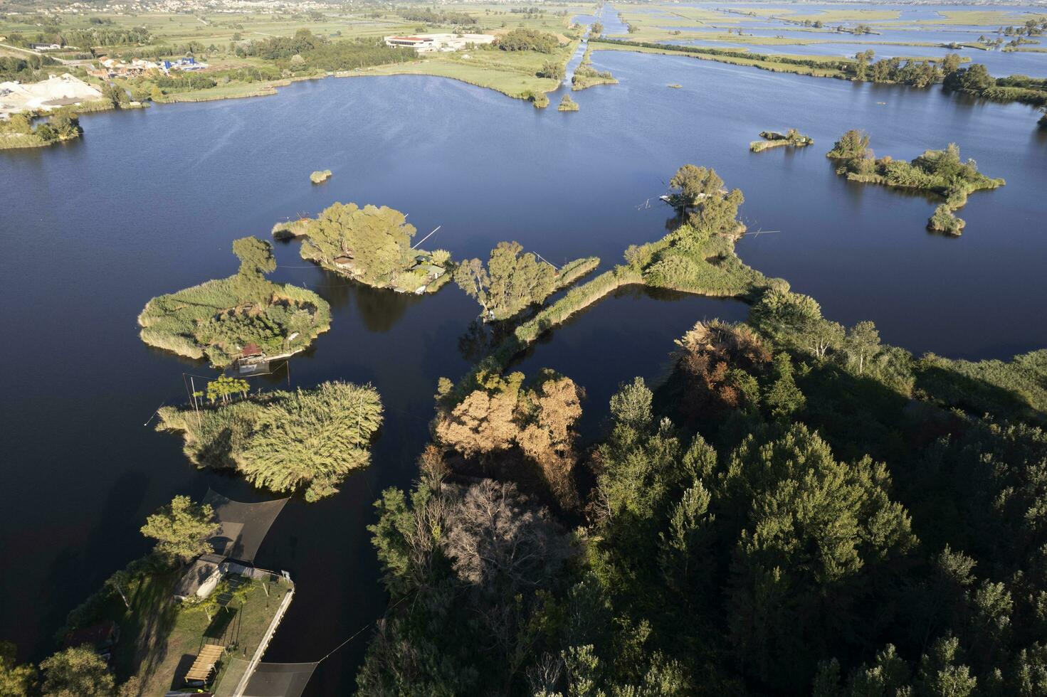 Aerial view of the details of Lake Massaciuccoli photo