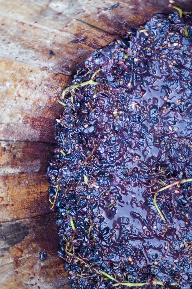 the preparation of the wine the must photo