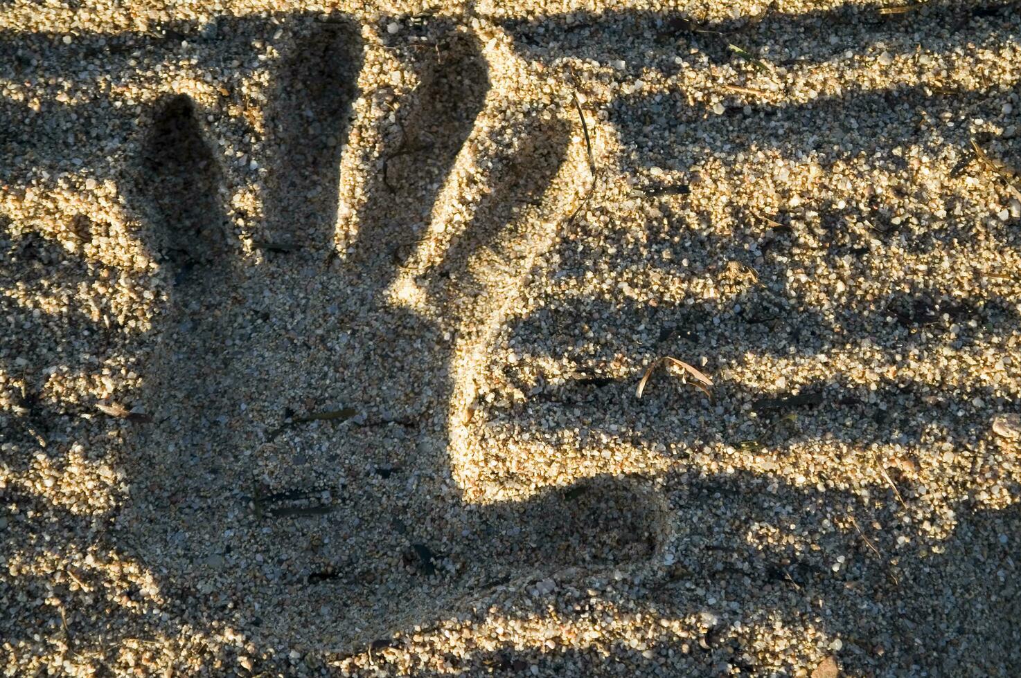 a hand print in the sand with two hands photo