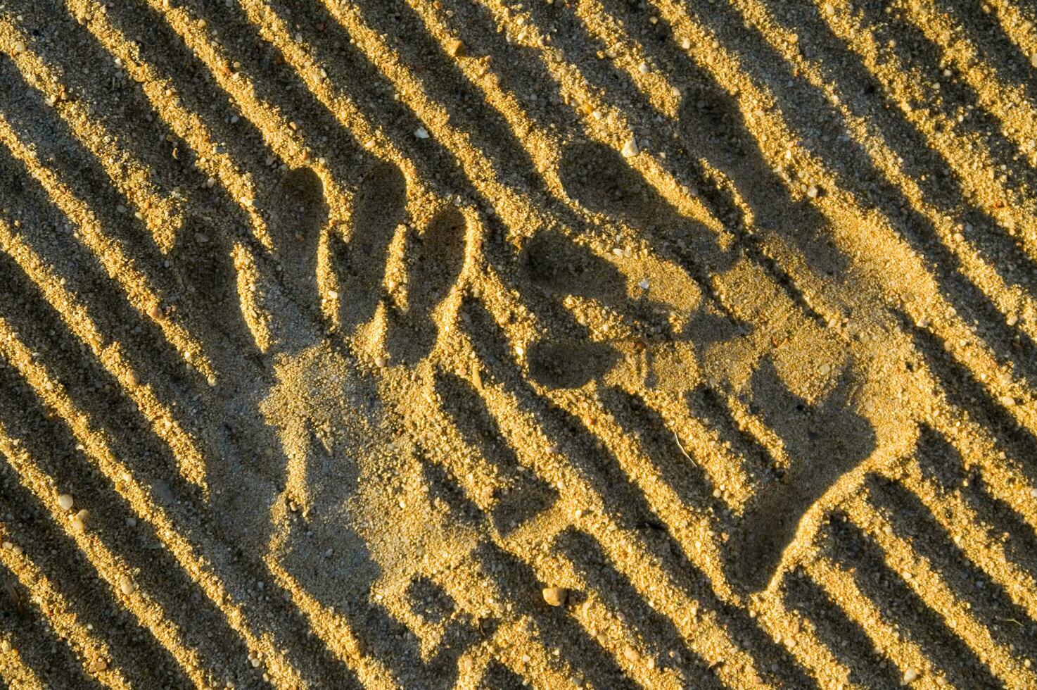 a hand print in the sand with two hands photo