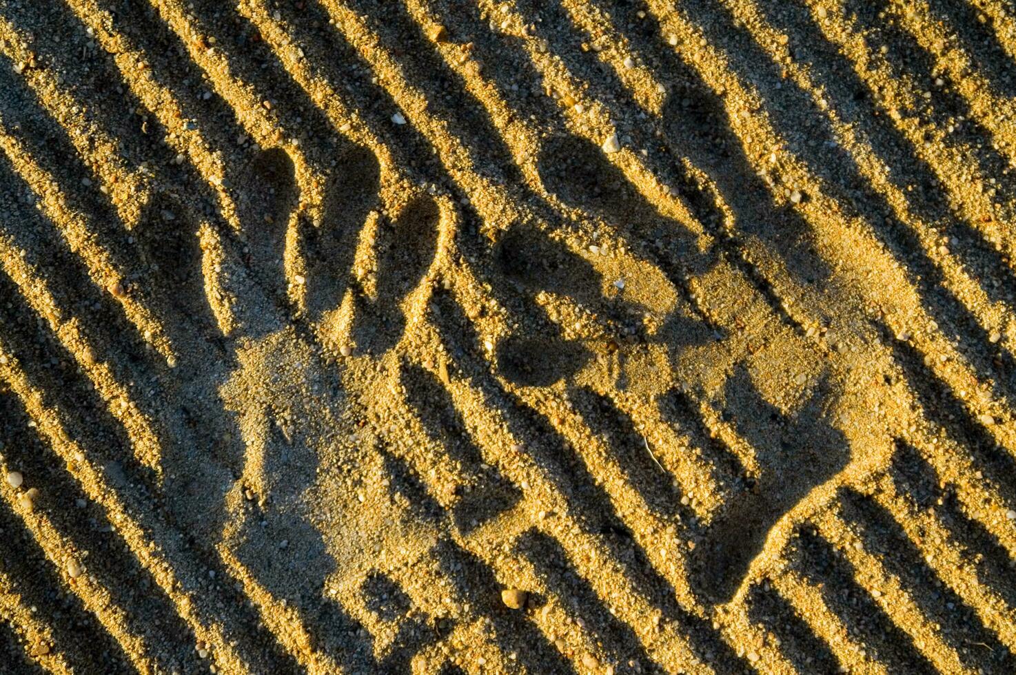 a hand print in the sand with two hands photo