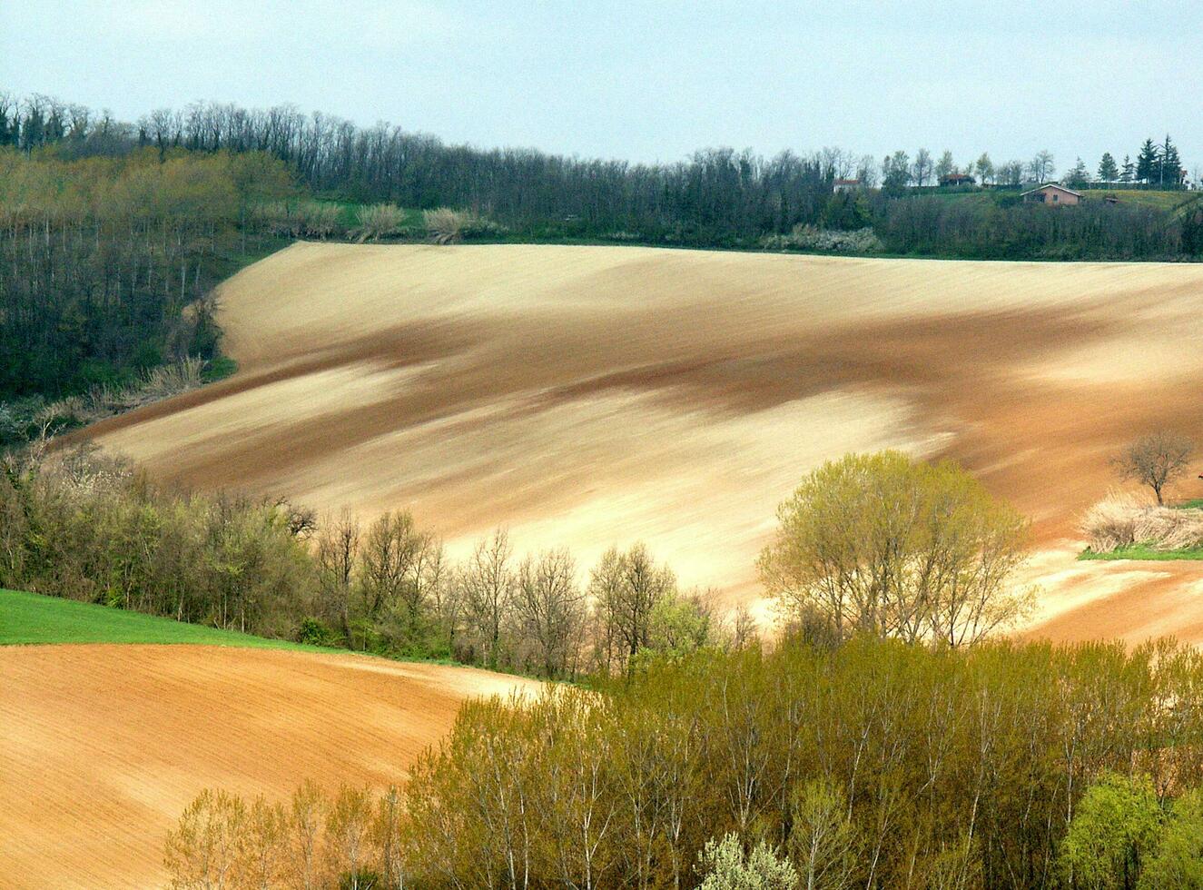 campo ver en primavera foto