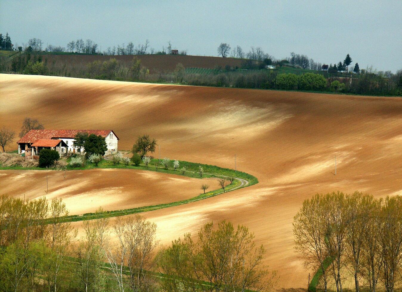 campo ver en primavera foto