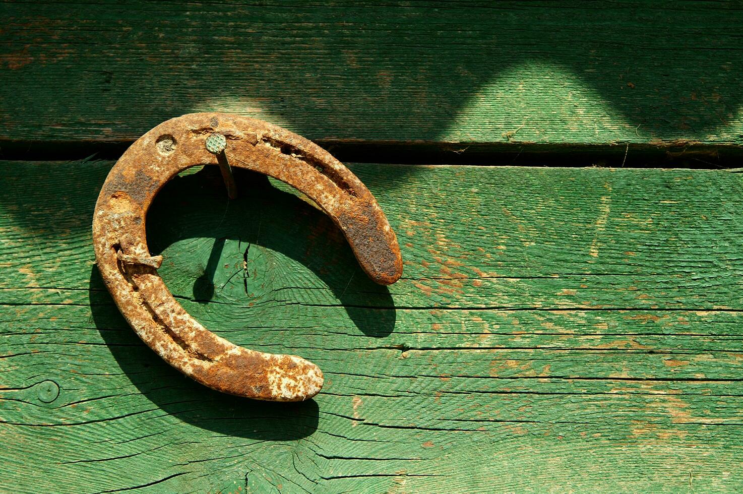 a horse shoe on a wooden wall photo