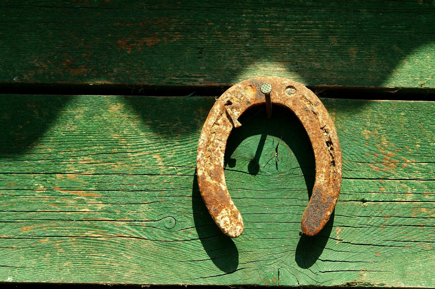 un caballo zapato en un de madera pared foto