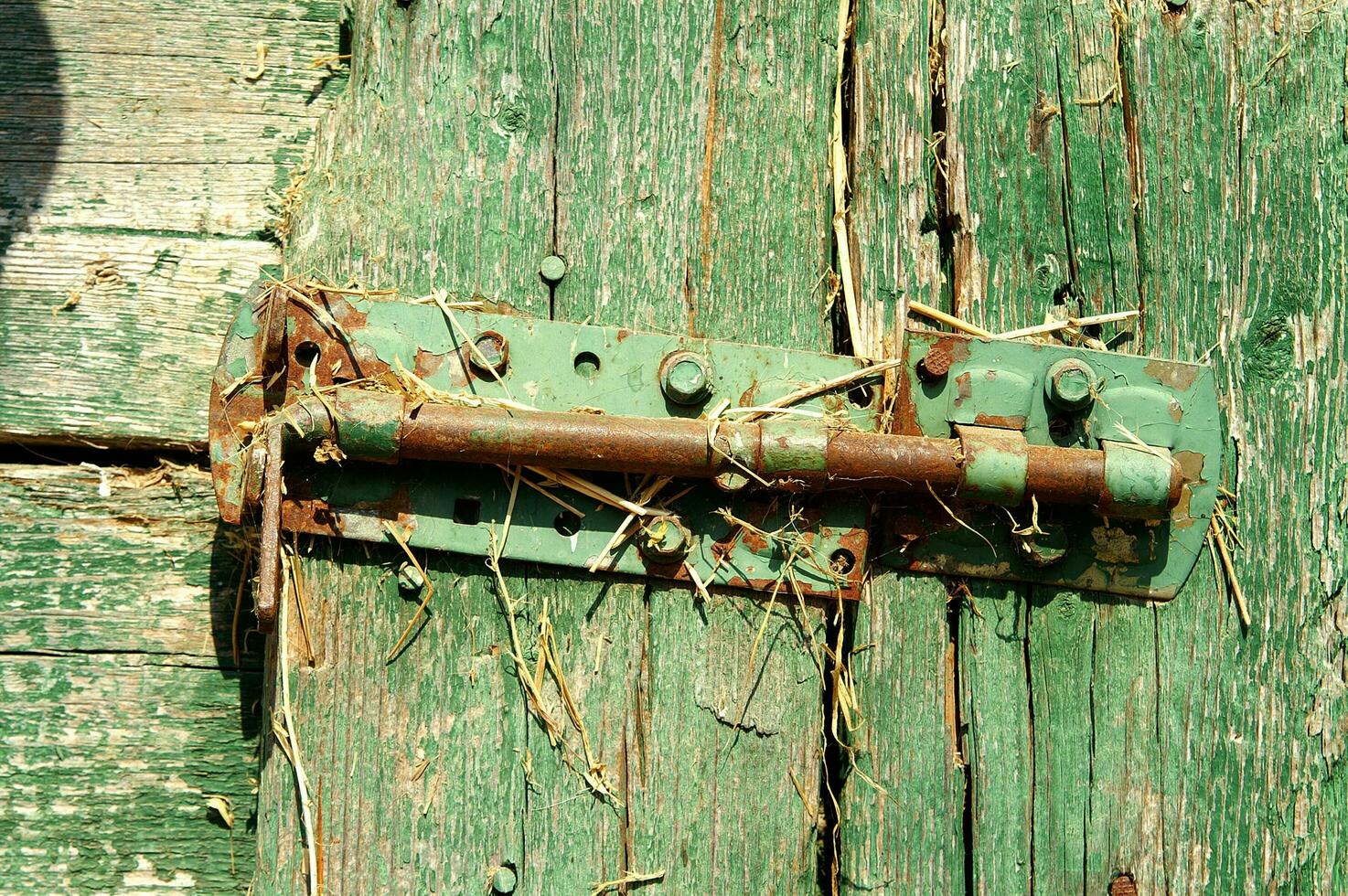 a rusty latch on a wooden door photo