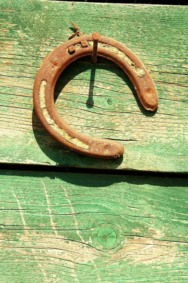 a horse shoe on a wooden wall photo