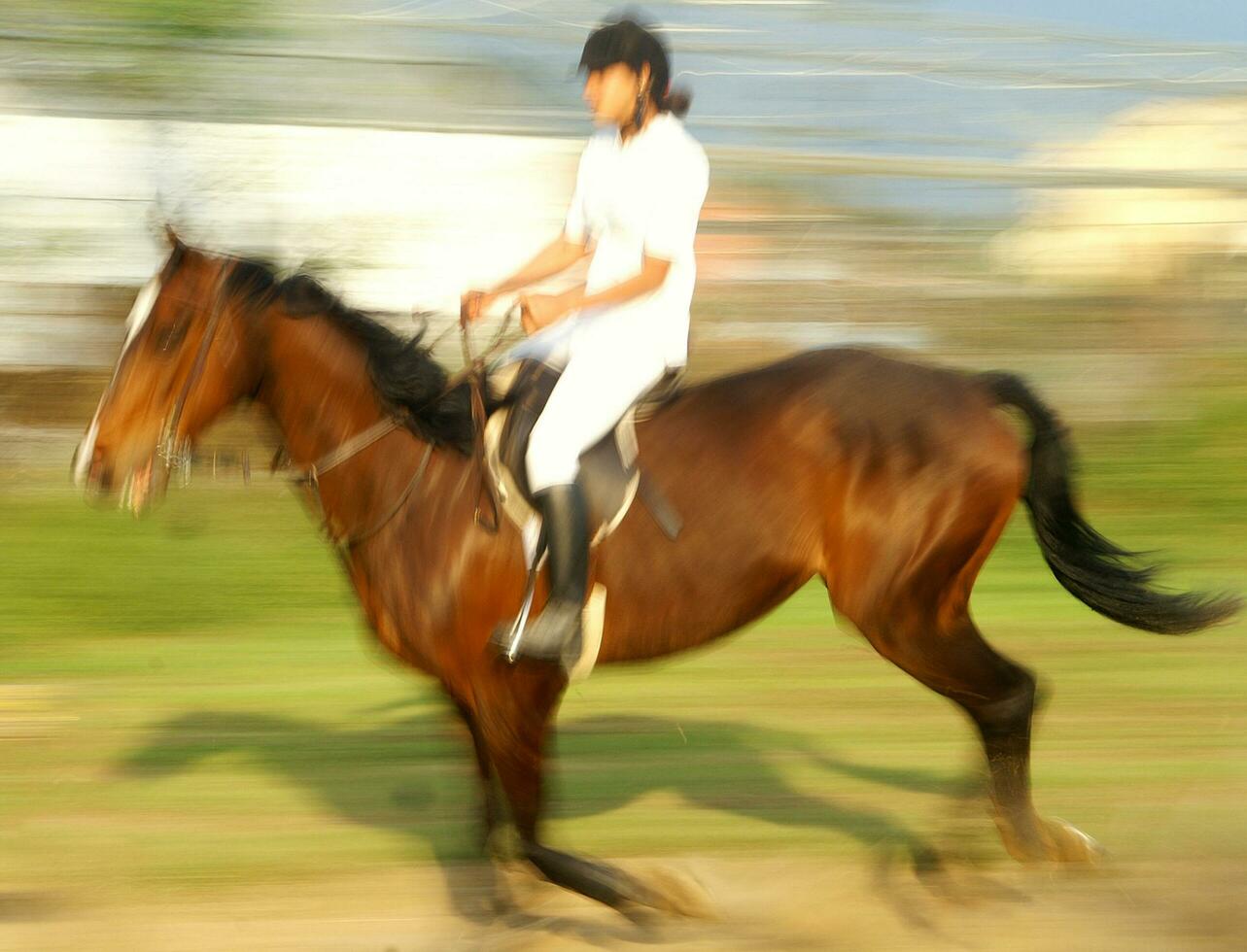 un persona montando un caballo foto