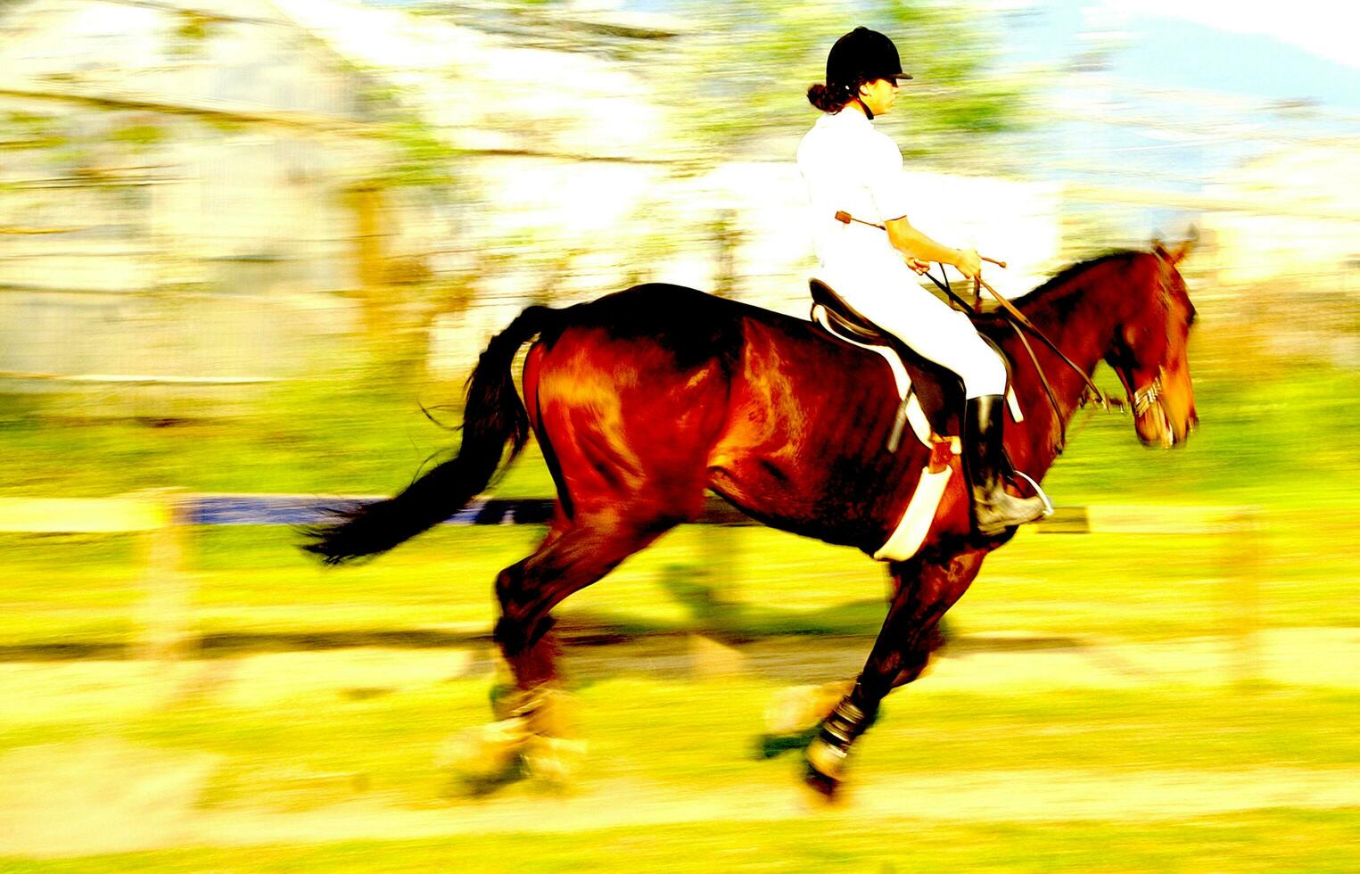 un persona montando un caballo foto