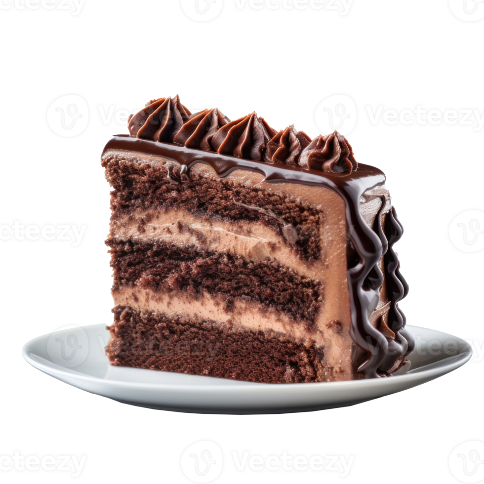 Chacolate cake piece isolated png