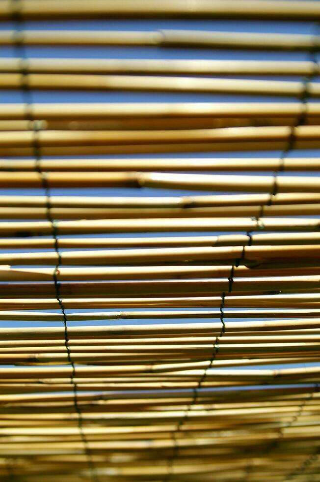 a close up of bamboo poles with a blue sky in the background photo