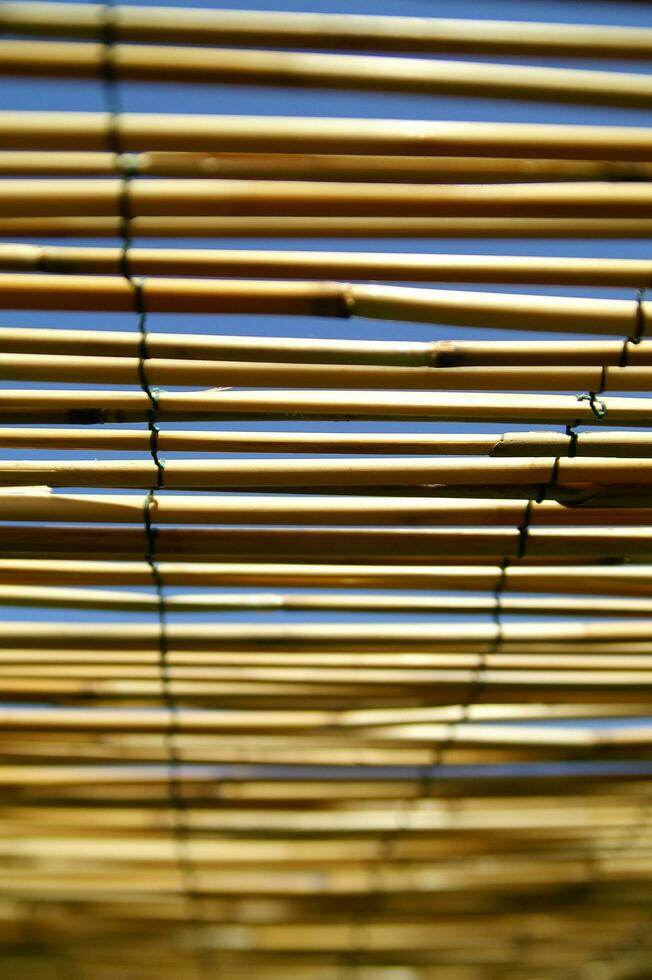 a close up of bamboo poles with a blue sky in the background photo