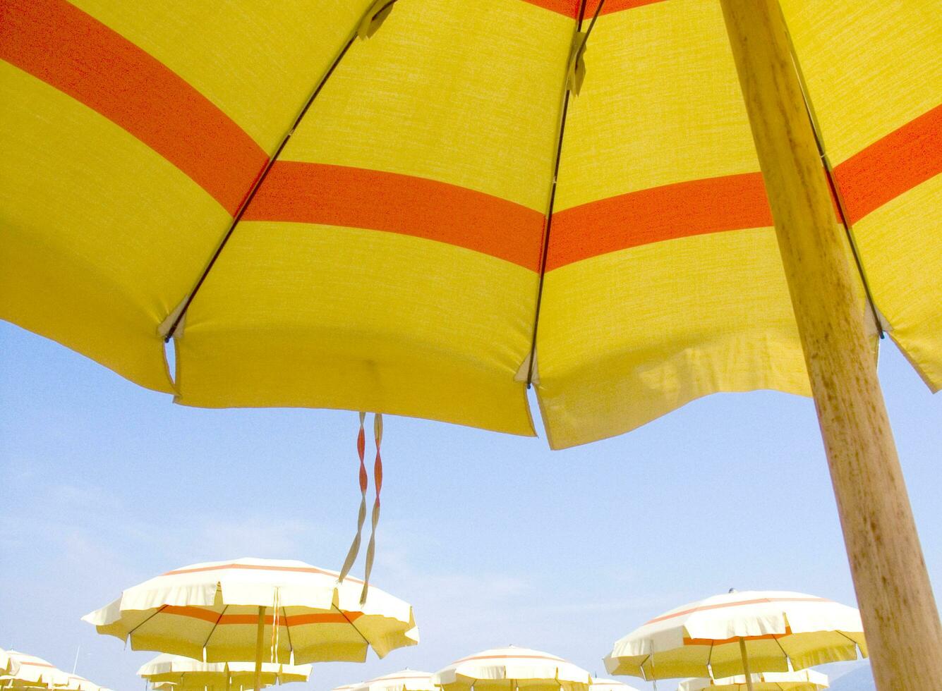 classic summer umbrellas photo