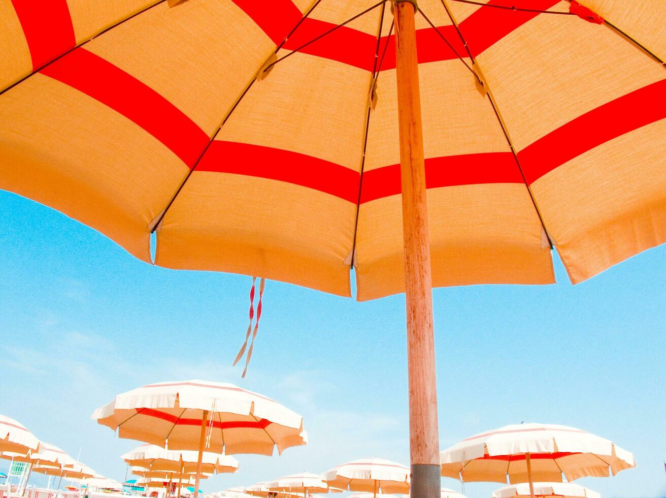 classic summer umbrellas photo