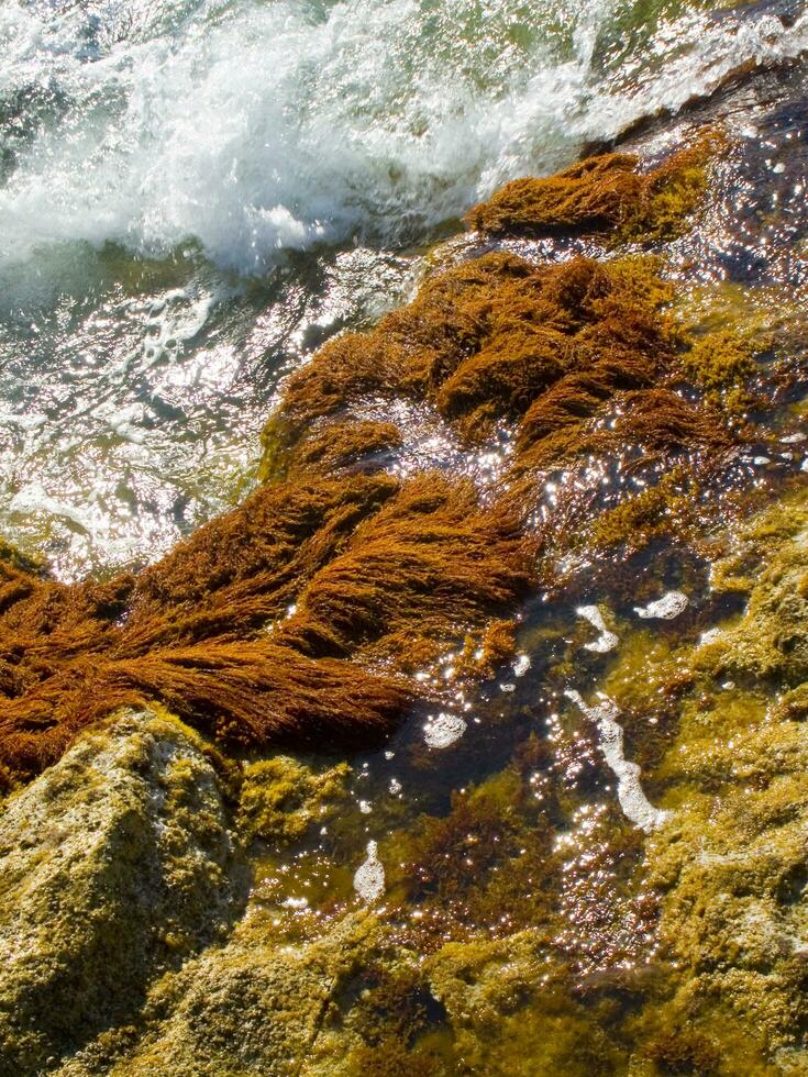 un rocoso apuntalar con olas estrellarse en contra el rocas foto