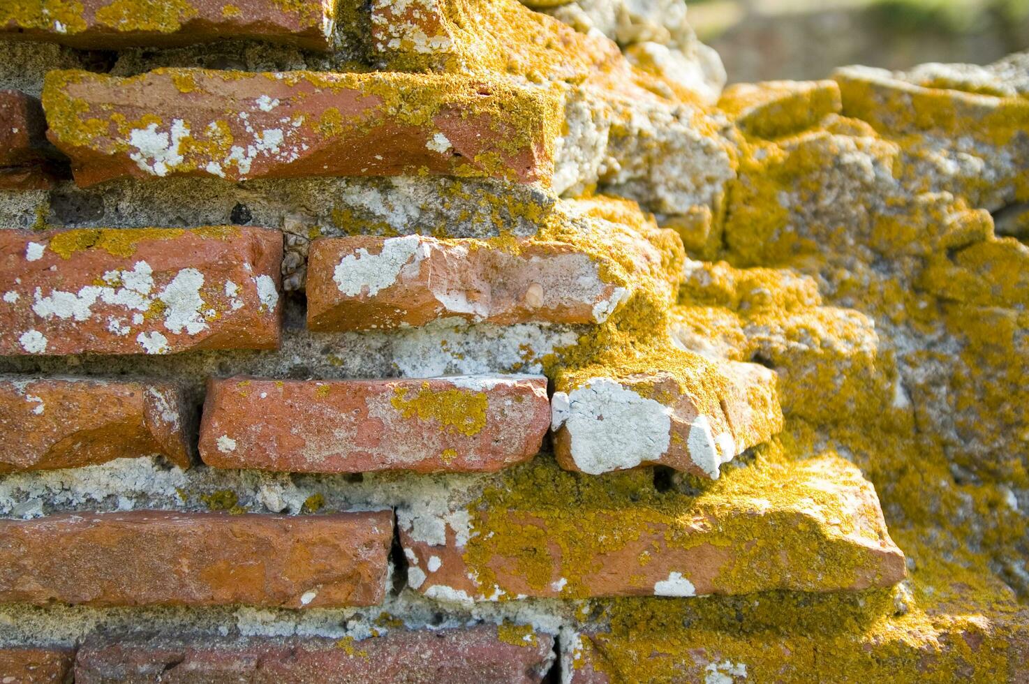 an old brick wall with a hole in it photo