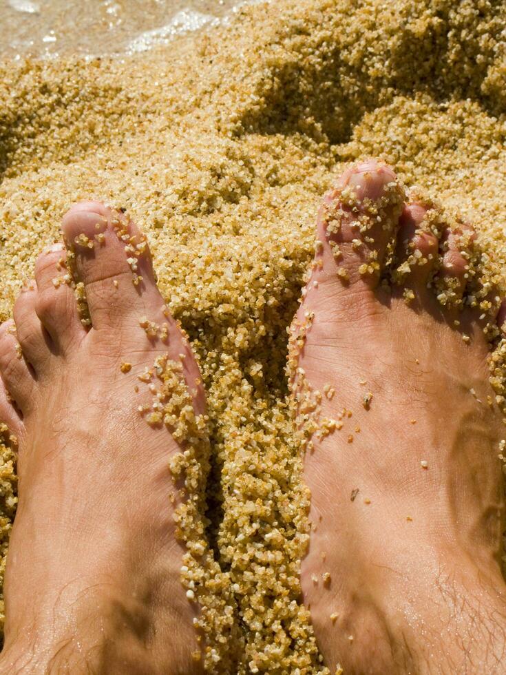 a pair of feet on a sandy beach photo