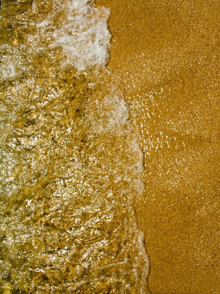 the golden beach of Corsica photo