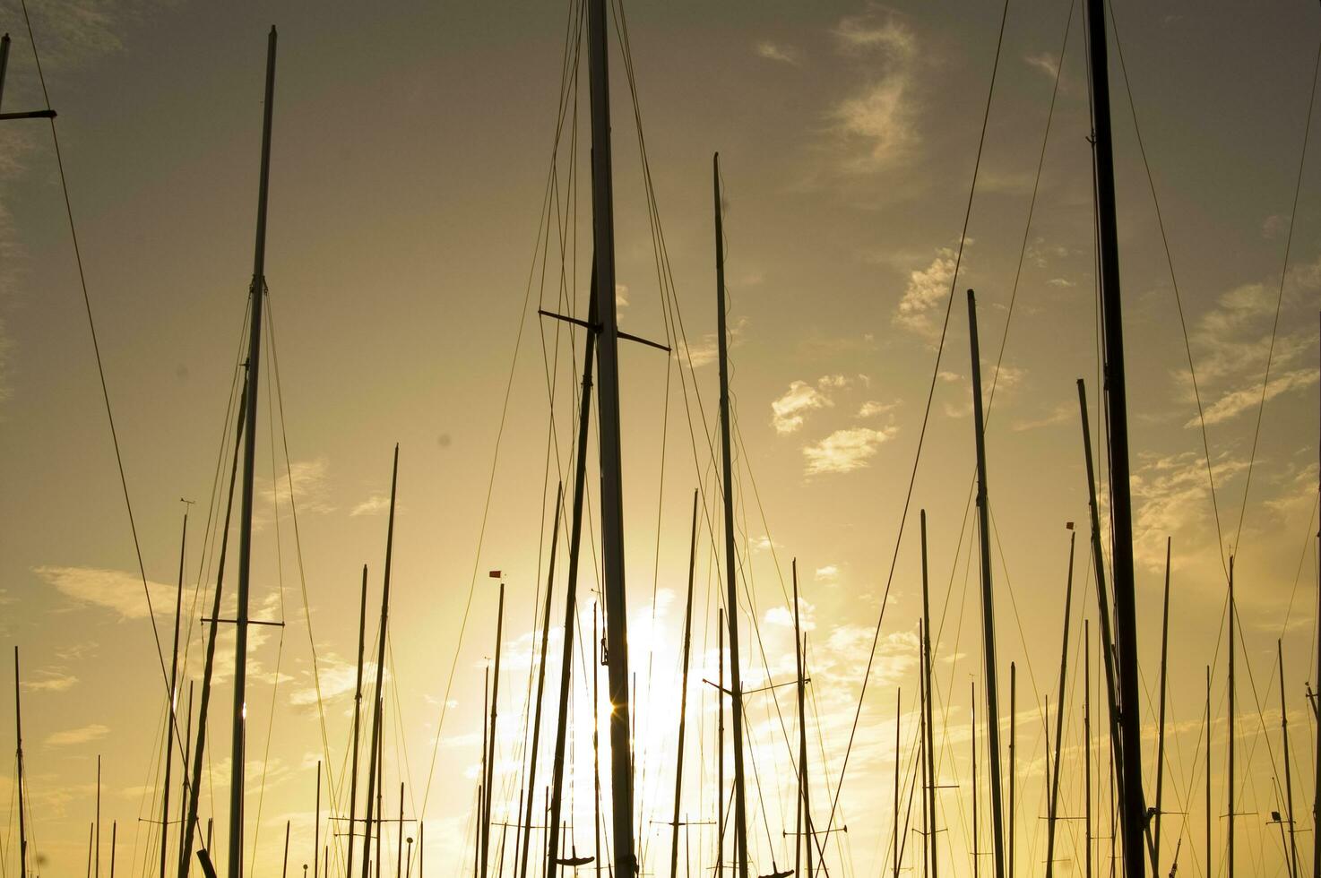 masts of sailboats at sunset photo