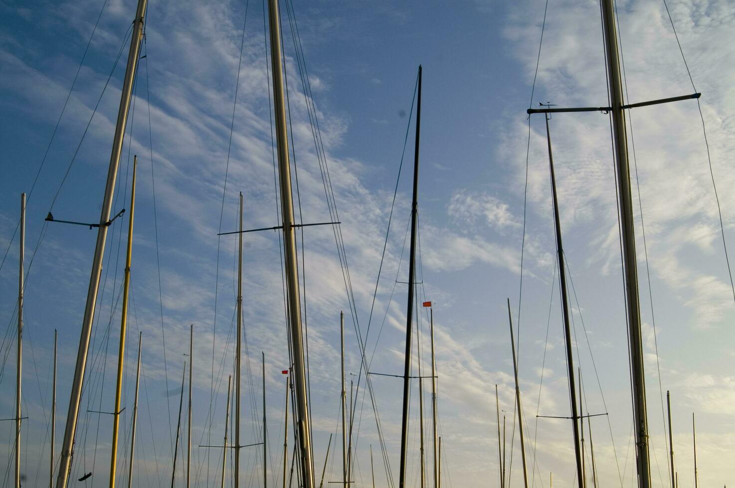 masts of sailboats at sunset photo