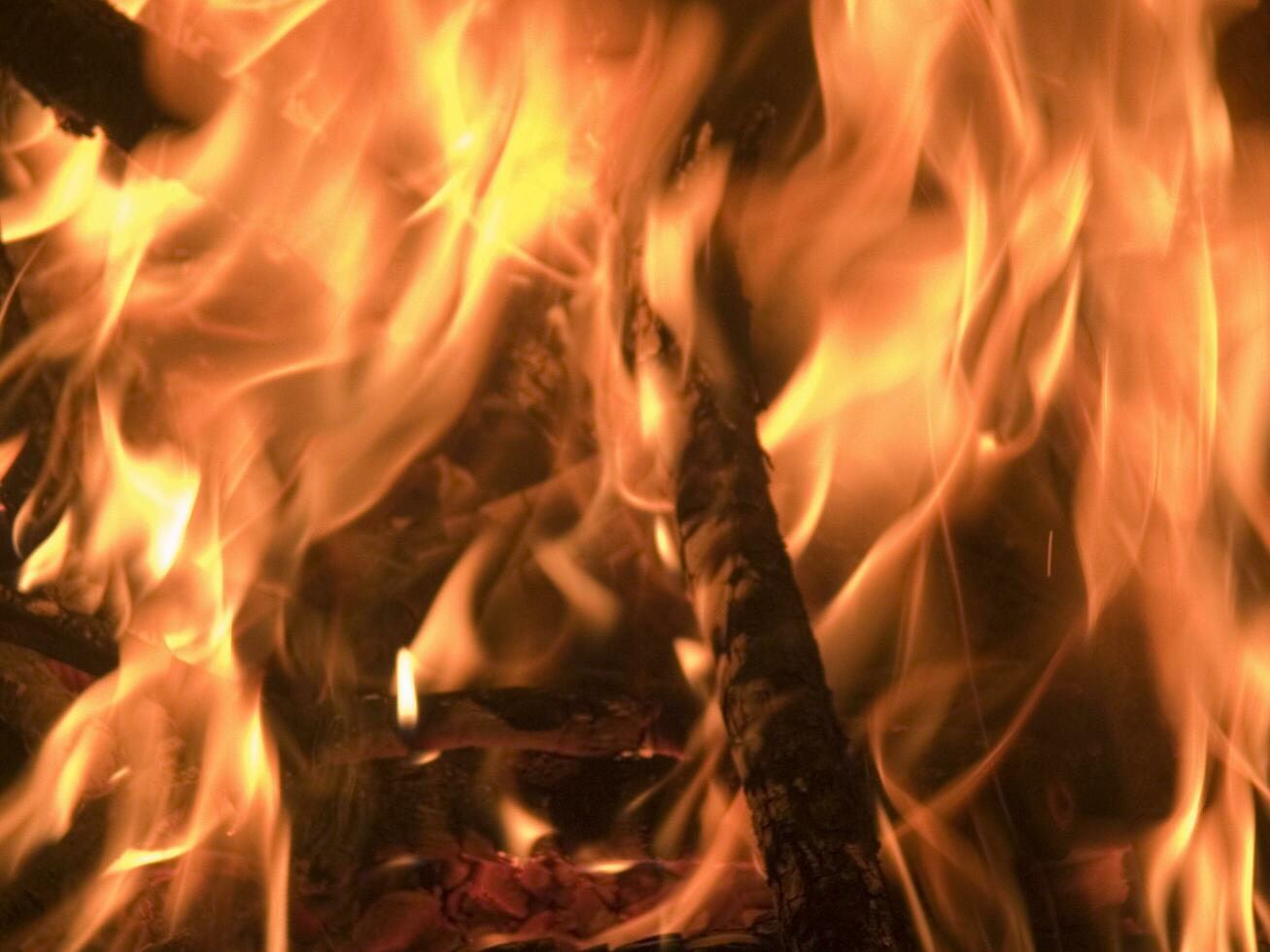a fire is burning in a brick oven photo