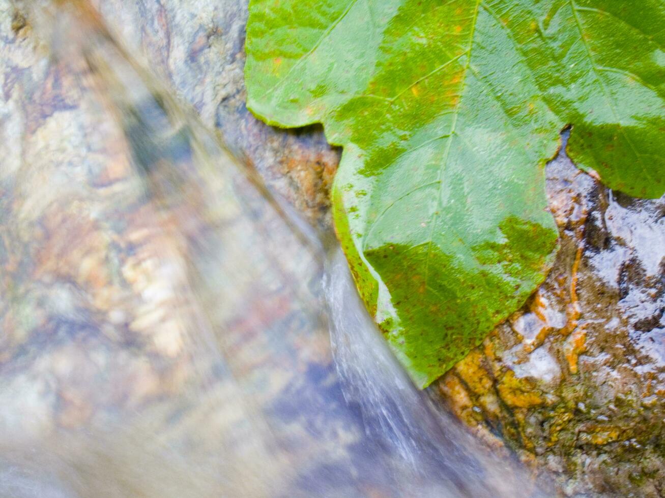 un hoja en un rock en un corriente foto