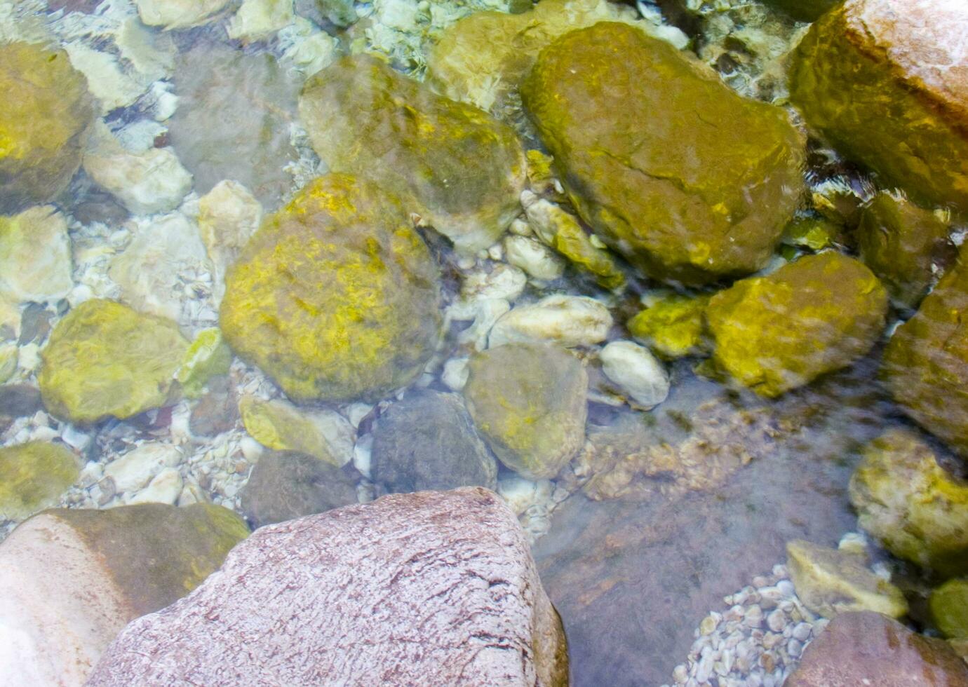 a leaf on a rock in a stream photo