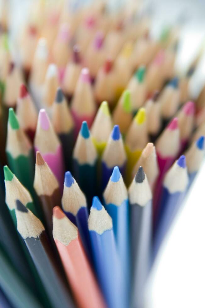 many colored pencils are arranged in a row photo